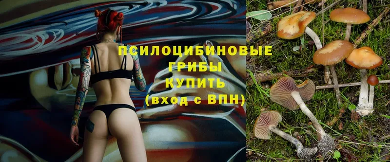 Псилоцибиновые грибы Magic Shrooms  Новая Ляля 